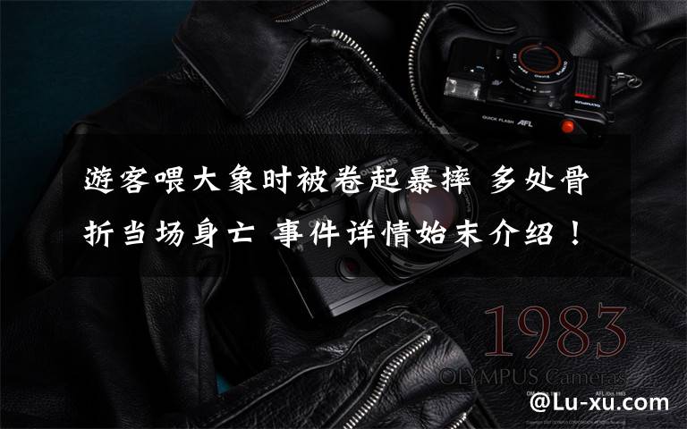 游客喂大象时被卷起暴摔 多处骨折当场身亡 事件详情始末介绍！