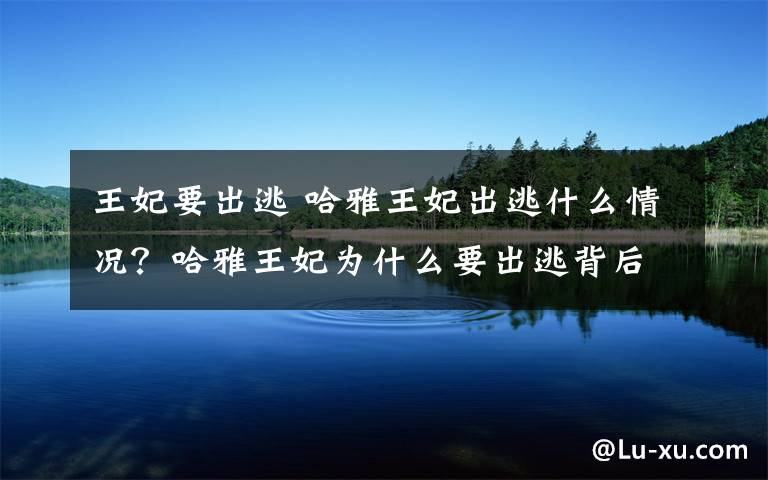 王妃要出逃 哈雅王妃出逃什么情况？哈雅王妃为什么要出逃背后原因曝光