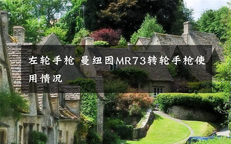 左轮手枪 曼纽因MR73转轮手枪使用情况