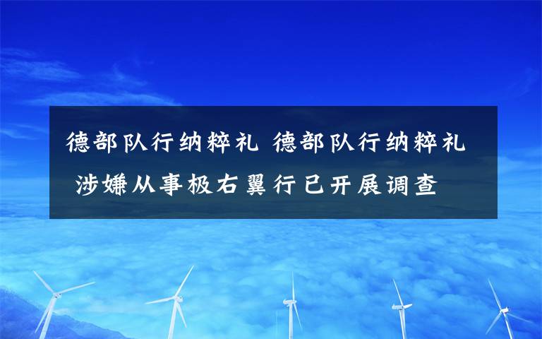 德部队行纳粹礼 德部队行纳粹礼 涉嫌从事极右翼行已开展调查