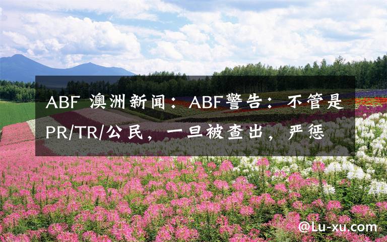 ABF 澳洲新闻：ABF警告：不管是PR/TR/公民，一旦被查出，严惩不贷！