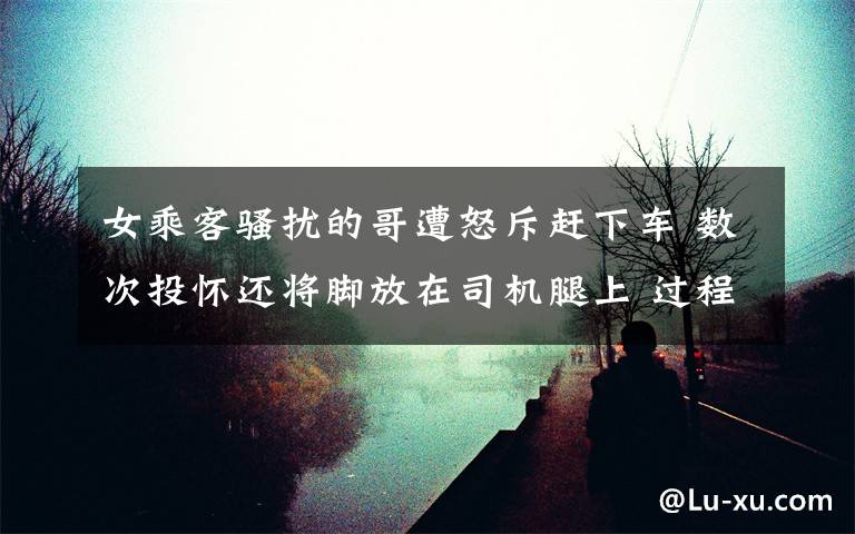 女乘客骚扰的哥遭怒斥赶下车 数次投怀还将脚放在司机腿上 过程真相详细揭秘！