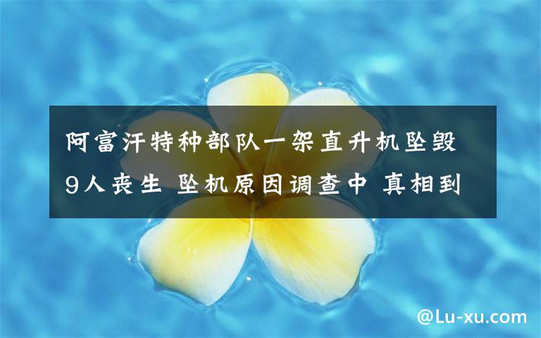 阿富汗特种部队一架直升机坠毁9人丧生 坠机原因调查中 真相到底是怎样的？