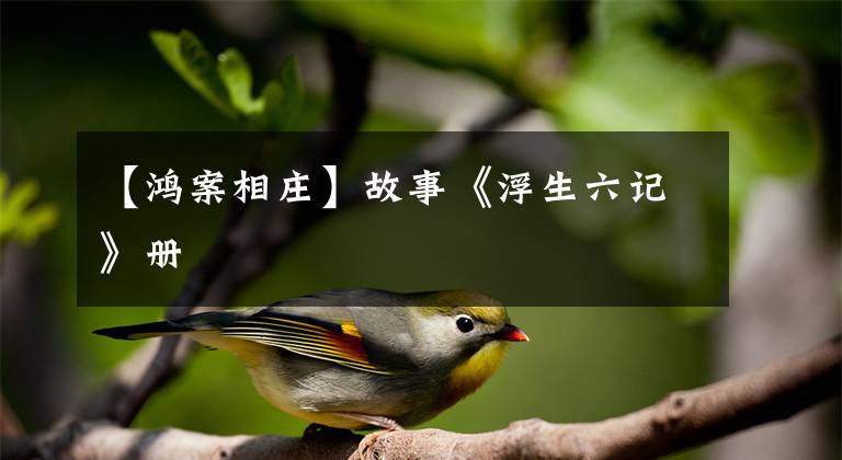 【鸿案相庄】故事《浮生六记》册