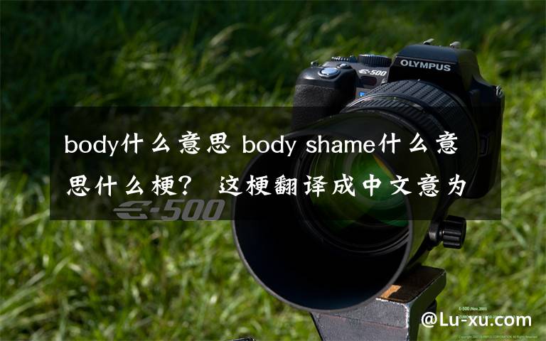body什么意思 body shame什么意思什么梗？ 这梗翻译成中文意为外貌羞辱