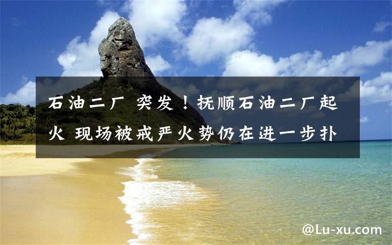 石油二厂 突发！抚顺石油二厂起火 现场被戒严火势仍在进一步扑灭之中