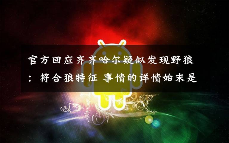 官方回应齐齐哈尔疑似发现野狼：符合狼特征 事情的详情始末是怎么样了！