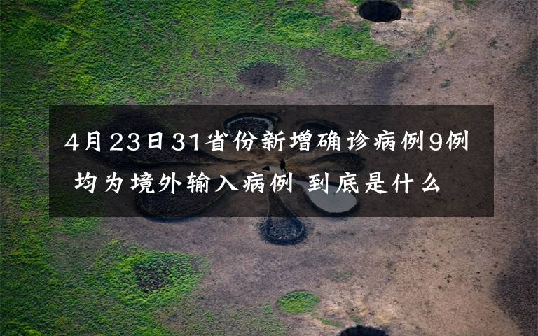 4月23日31省份新增确诊病例9例 均为境外输入病例 到底是什么状况？