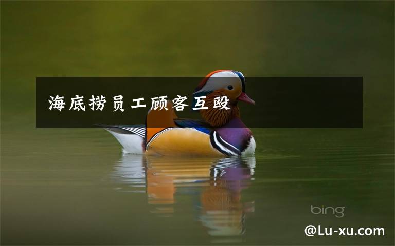 海底捞员工顾客互殴
