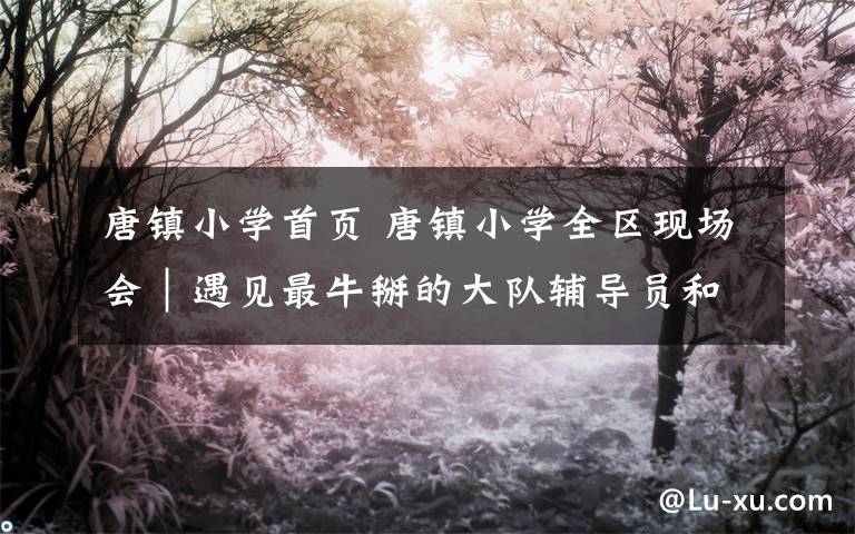 唐镇小学首页 唐镇小学全区现场会｜遇见最牛掰的大队辅导员和最萌的少先队员......