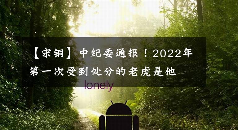 【宋铜】中纪委通报！2022年第一次受到处分的老虎是他