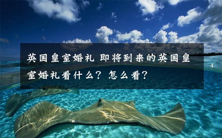 英国皇室婚礼 即将到来的英国皇室婚礼看什么？怎么看？