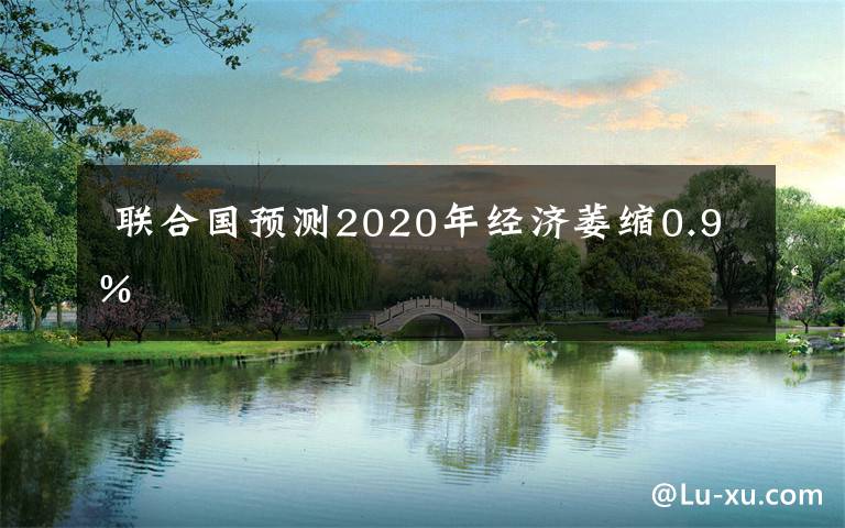  联合国预测2020年经济萎缩0.9%