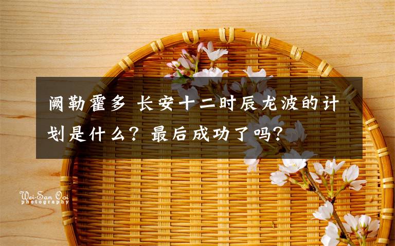 阙勒霍多 长安十二时辰龙波的计划是什么？最后成功了吗？