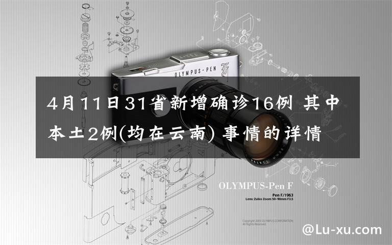 4月11日31省新增确诊16例 其中本土2例(均在云南) 事情的详情始末是怎么样了！