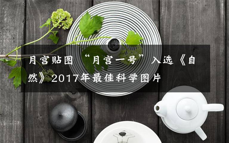 月宫贴图 “月宫一号”入选《自然》2017年最佳科学图片