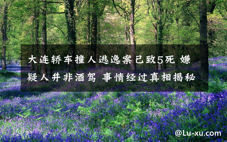 大连轿车撞人逃逸案已致5死 嫌疑人并非酒驾 事情经过真相揭秘！