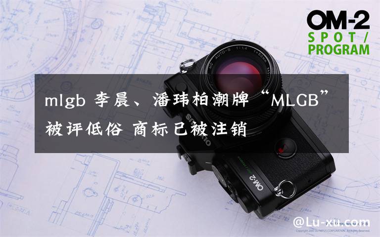 mlgb 李晨、潘玮柏潮牌“MLGB”被评低俗 商标已被注销