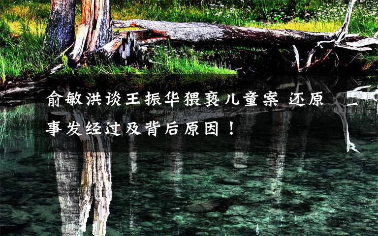 俞敏洪谈王振华猥亵儿童案 还原事发经过及背后原因！