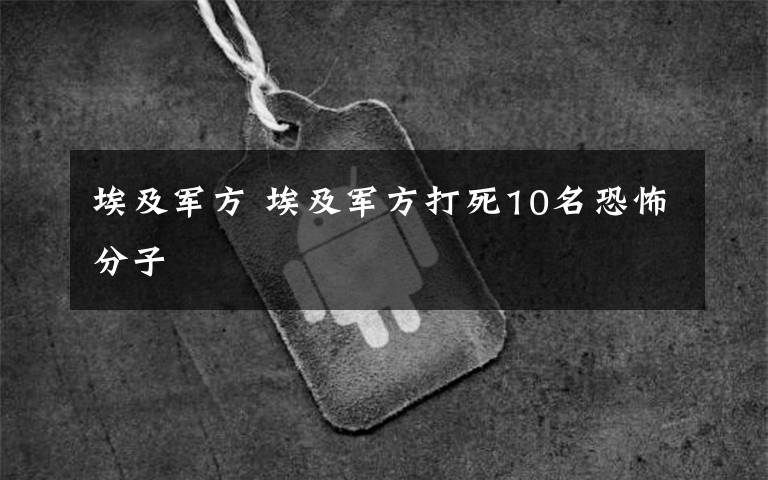 埃及军方 埃及军方打死10名恐怖分子