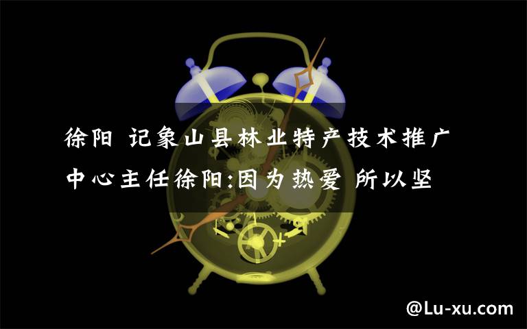 徐阳 记象山县林业特产技术推广中心主任徐阳:因为热爱 所以坚持