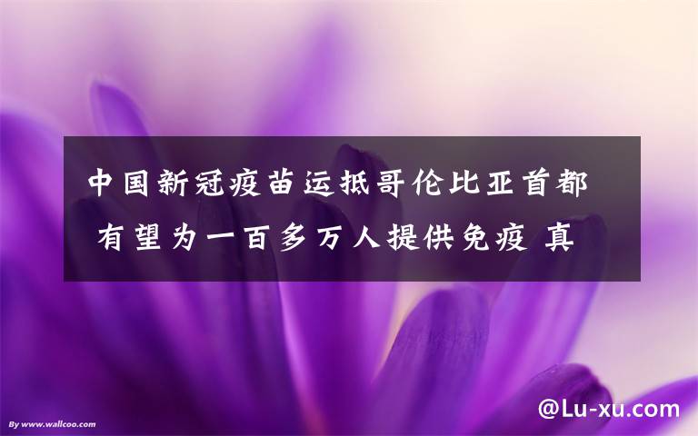 中国新冠疫苗运抵哥伦比亚首都 有望为一百多万人提供免疫 真相原来是这样！