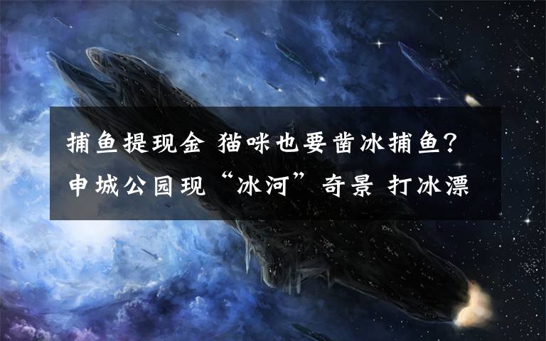 捕鱼提现金 猫咪也要凿冰捕鱼？申城公园现“冰河”奇景 打冰漂凿冰盖， 都乐得像个孩子