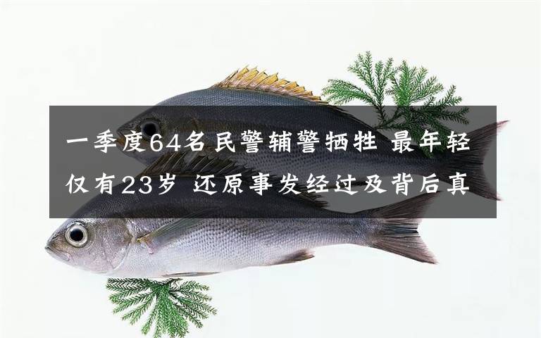 一季度64名民警辅警牺牲 最年轻仅有23岁 还原事发经过及背后真相！
