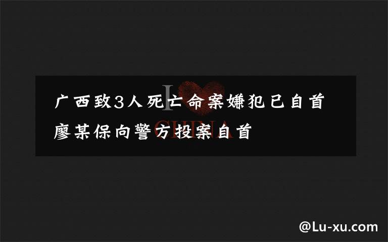  广西致3人死亡命案嫌犯已自首 廖某保向警方投案自首