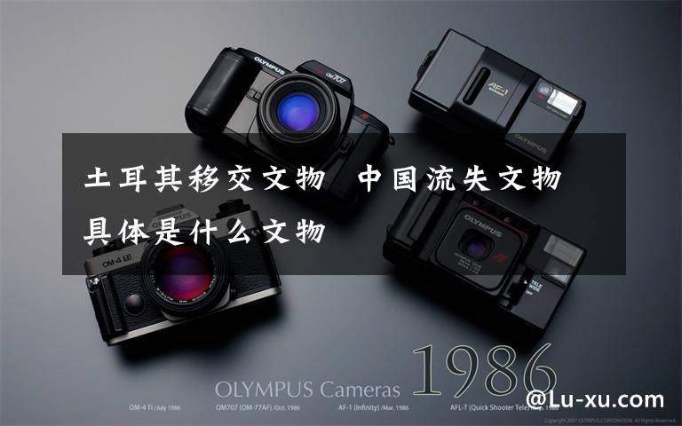 土耳其移交文物  中国流失文物具体是什么文物