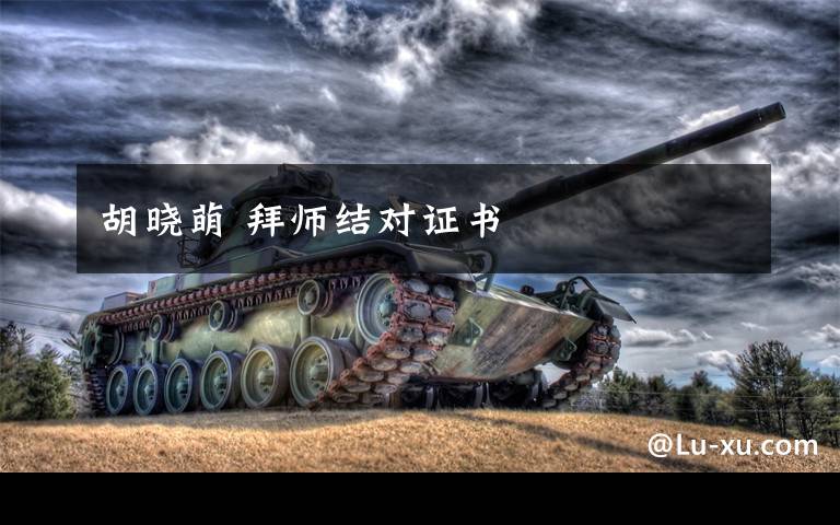 胡晓萌 拜师结对证书