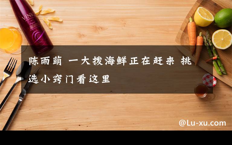 陈雨萌 一大拨海鲜正在赶来 挑选小窍门看这里