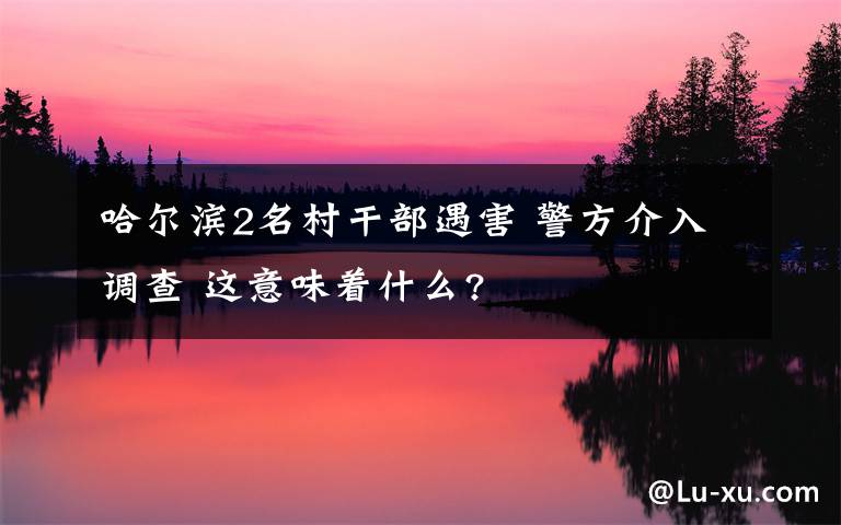 哈尔滨2名村干部遇害 警方介入调查 这意味着什么?