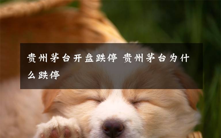 贵州茅台开盘跌停 贵州茅台为什么跌停