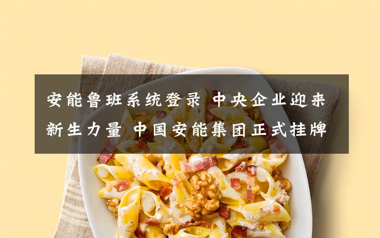 安能鲁班系统登录 中央企业迎来新生力量 中国安能集团正式挂牌