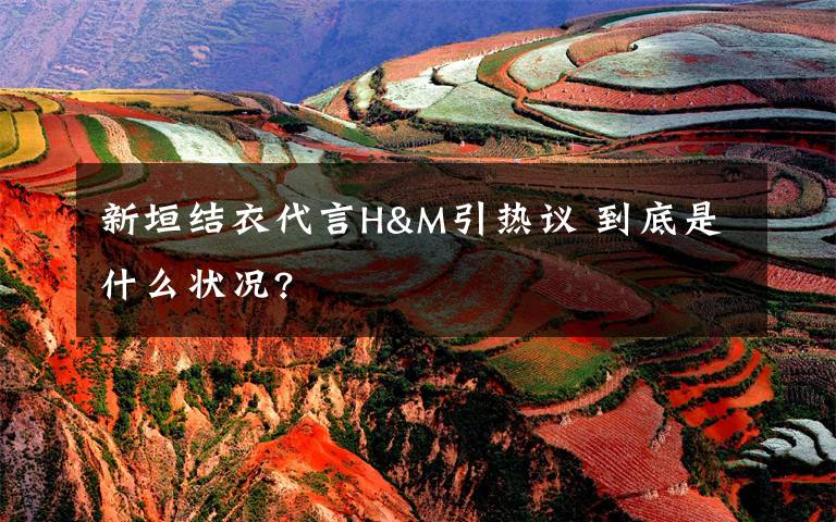新垣结衣代言H&M引热议 到底是什么状况?