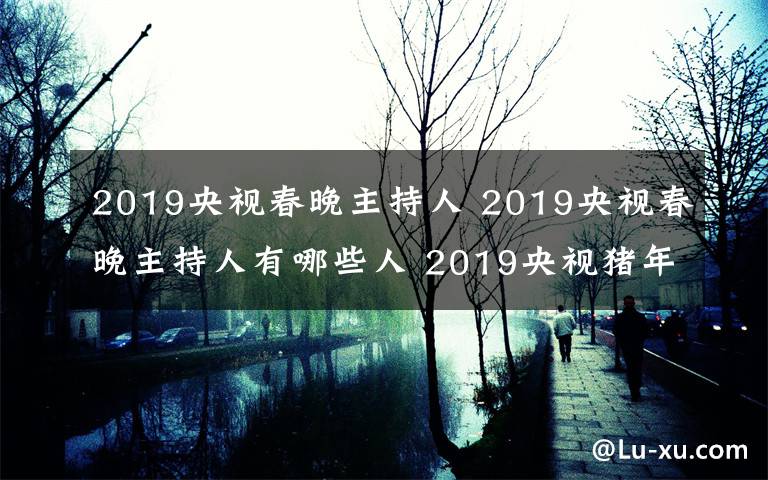 2019央视春晚主持人 2019央视春晚主持人有哪些人 2019央视猪年春晚主持阵容名单