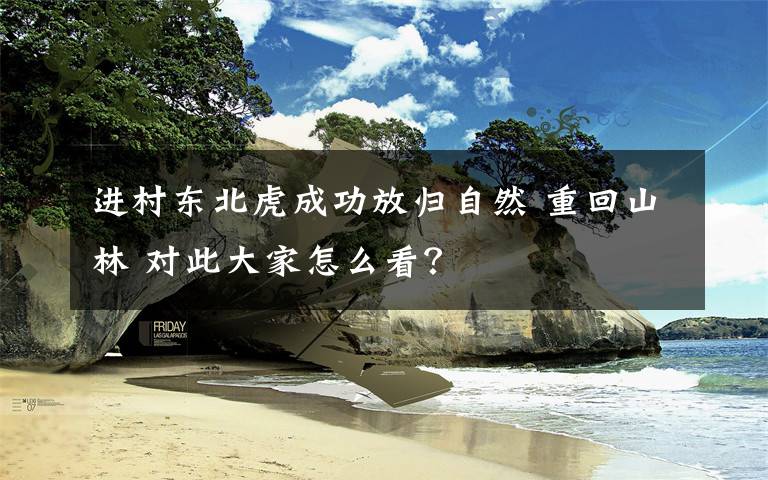 进村东北虎成功放归自然 重回山林 对此大家怎么看？
