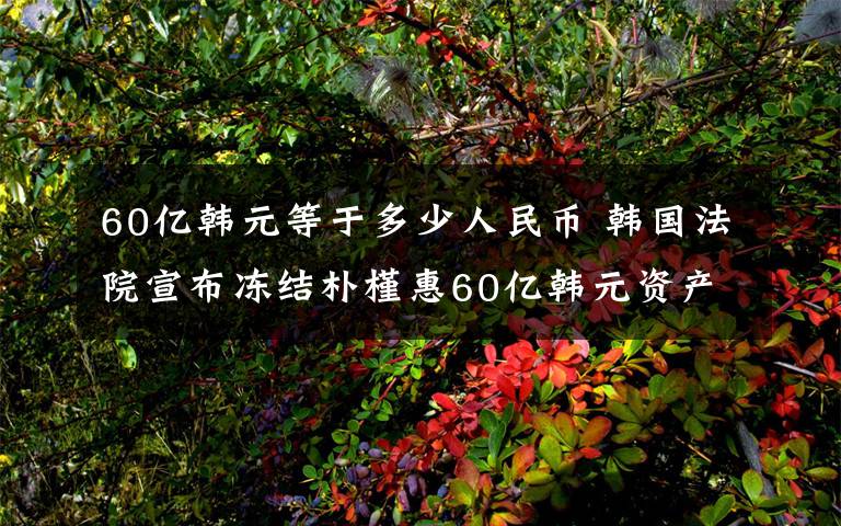 60亿韩元等于多少人民币 韩国法院宣布冻结朴槿惠60亿韩元资产