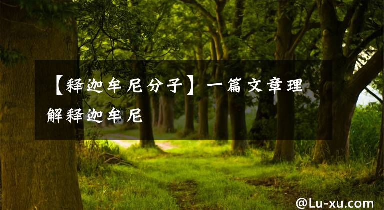 【释迦牟尼分子】一篇文章理解释迦牟尼