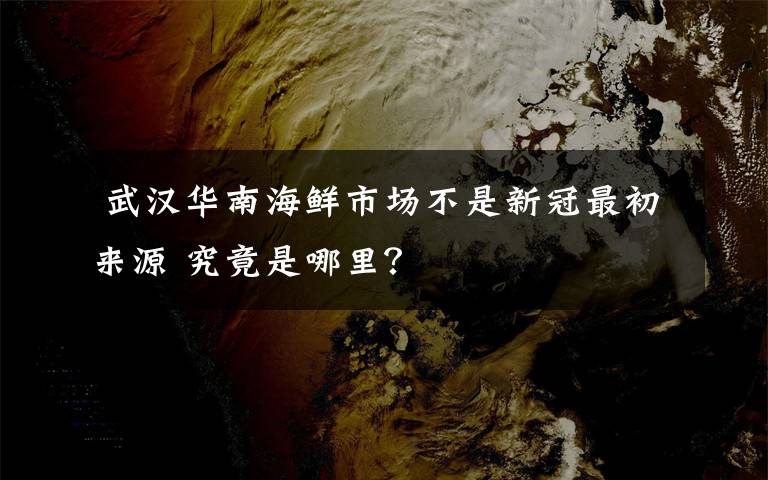  武汉华南海鲜市场不是新冠最初来源 究竟是哪里？