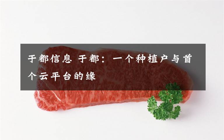 于都信息 于都：一个种植户与首个云平台的缘