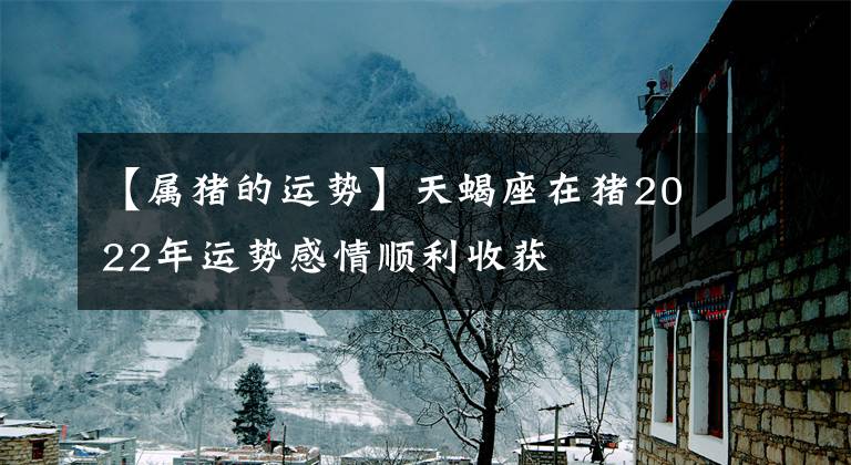 【属猪的运势】天蝎座在猪2022年运势感情顺利收获