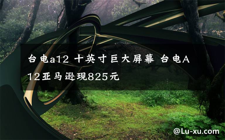 台电a12 十英寸巨大屏幕 台电A12亚马逊现825元