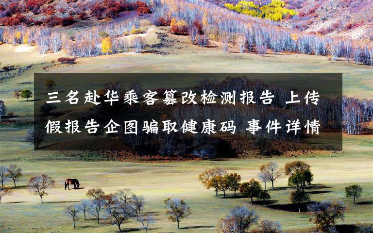 三名赴华乘客篡改检测报告 上传假报告企图骗取健康码 事件详情始末介绍！