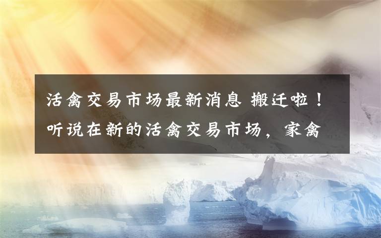 活禽交易市场最新消息 搬迁啦！听说在新的活禽交易市场，家禽的价格有点优惠~