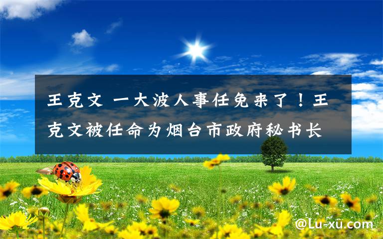 王克文 一大波人事任免来了！王克文被任命为烟台市政府秘书长