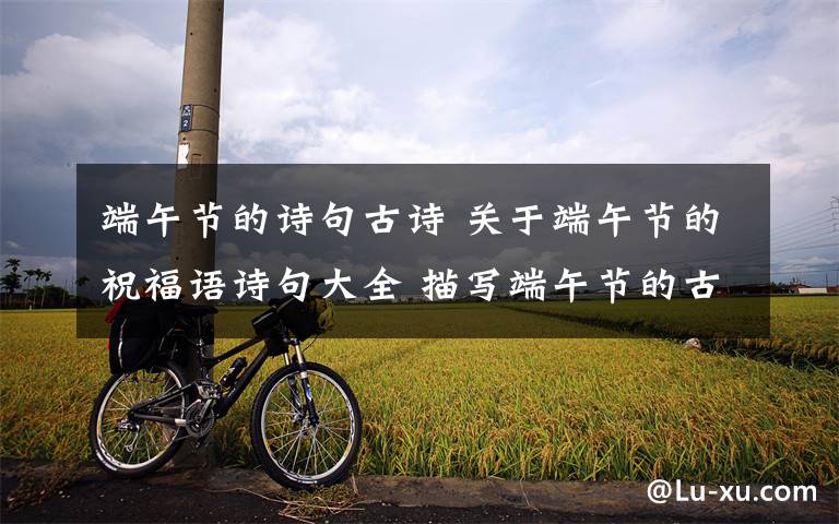 端午节的诗句古诗 关于端午节的祝福语诗句大全 描写端午节的古诗词精选