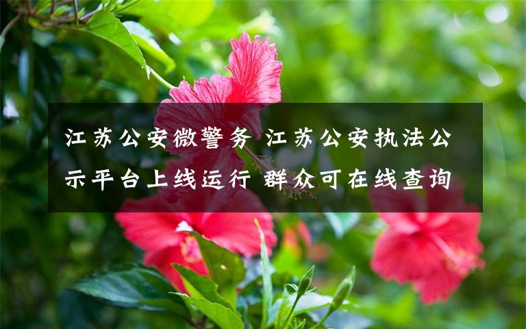 江苏公安微警务 江苏公安执法公示平台上线运行 群众可在线查询案件进展