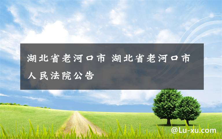 湖北省老河口市 湖北省老河口市人民法院公告